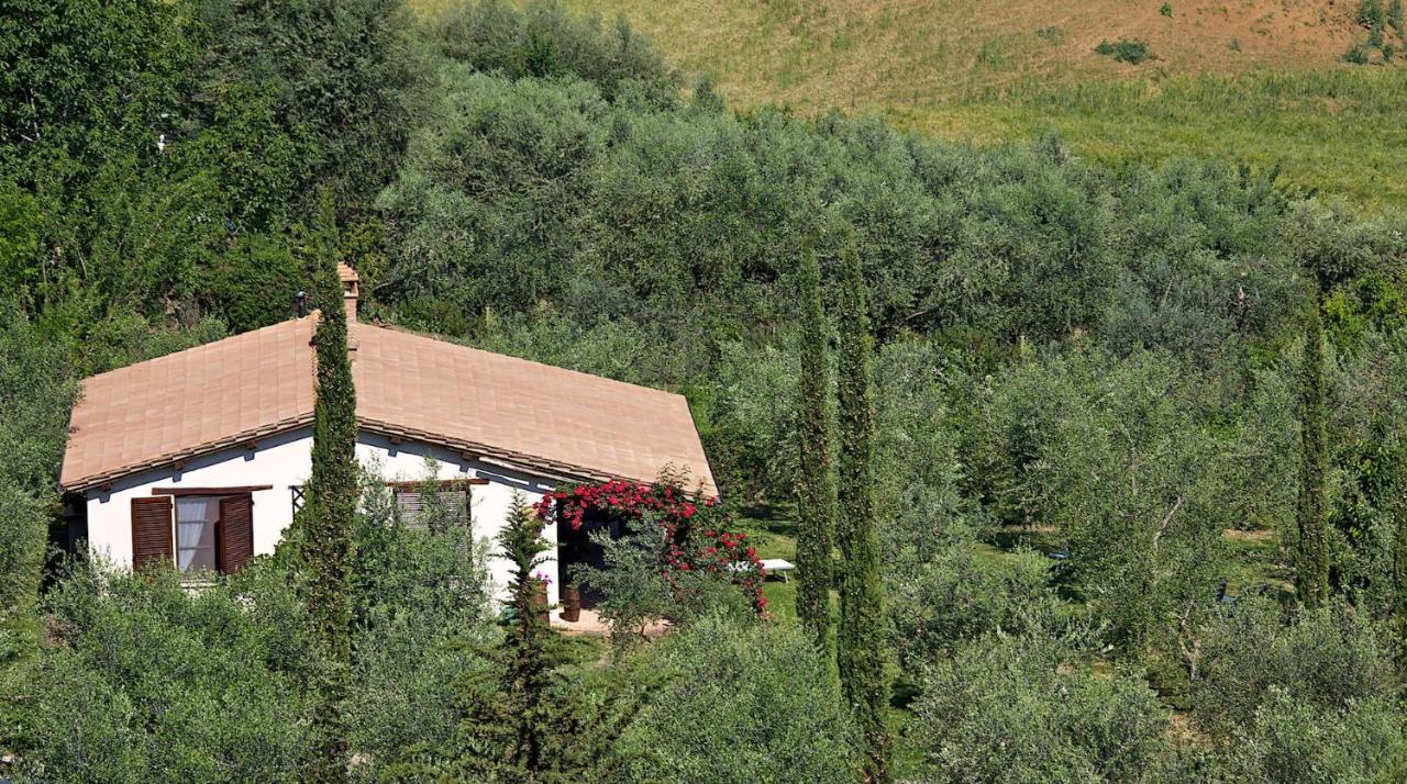 Fonte Del Salcio Βίλα Cinigiano Εξωτερικό φωτογραφία